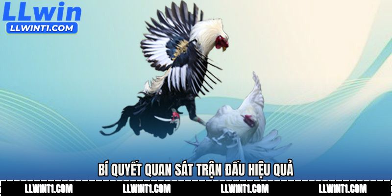 Bí quyết quan sát trận đấu hiệu quả