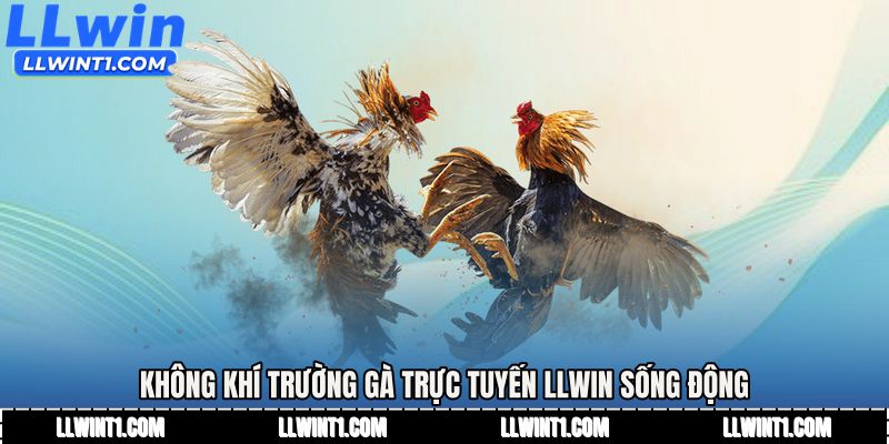 Không khí trường gà trực tuyến LLWIN sống động
